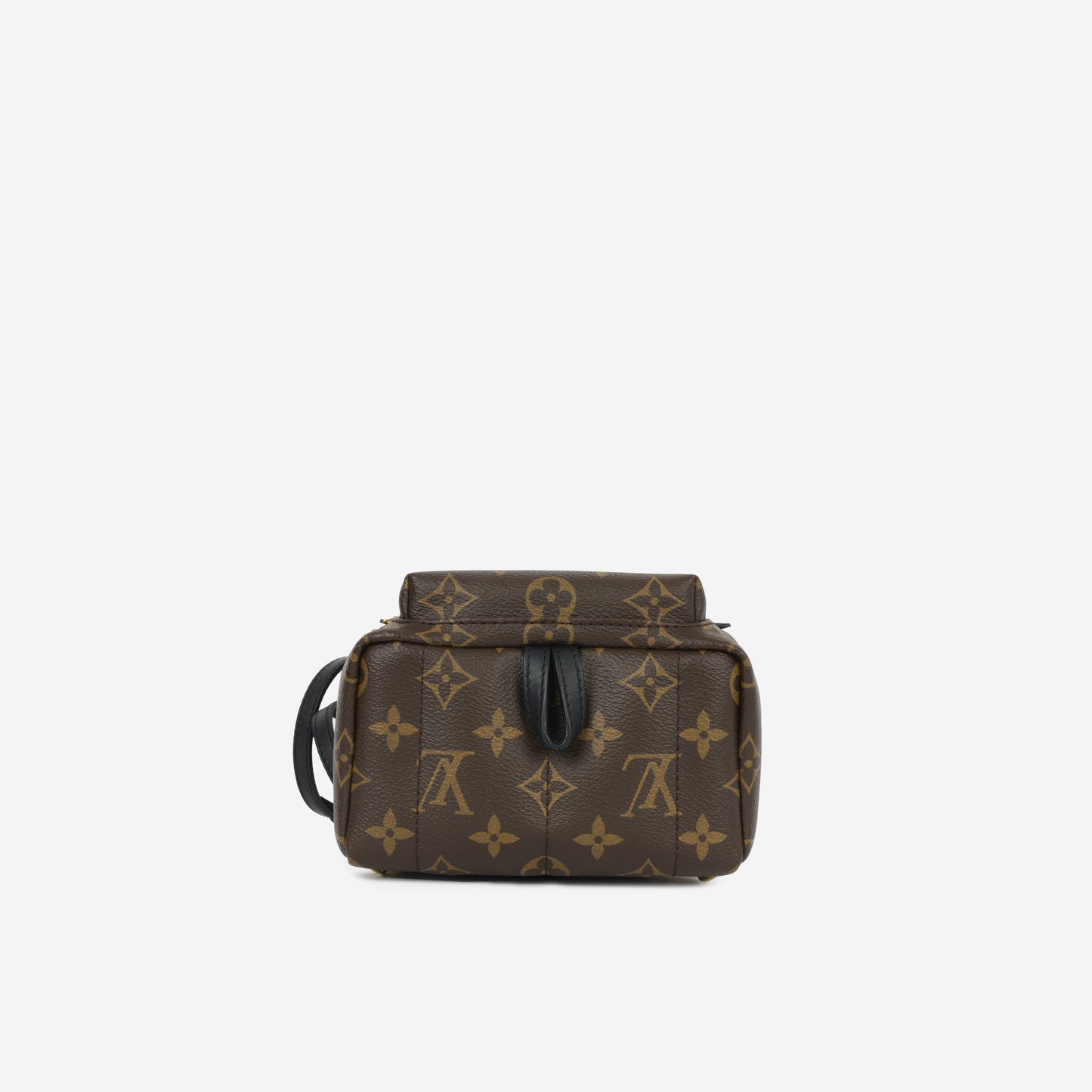 Mini Palm Springs - Monogram