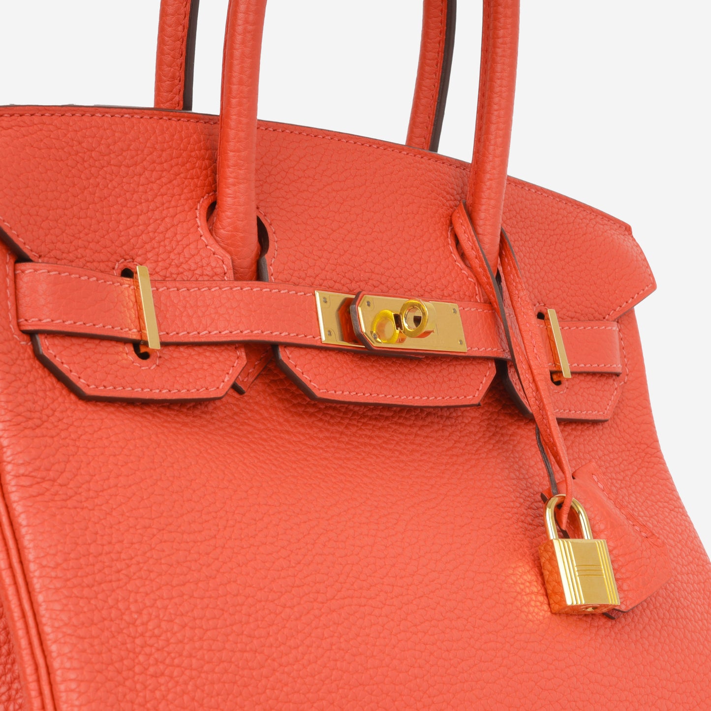 Birkin 30 - Rose Jaipur