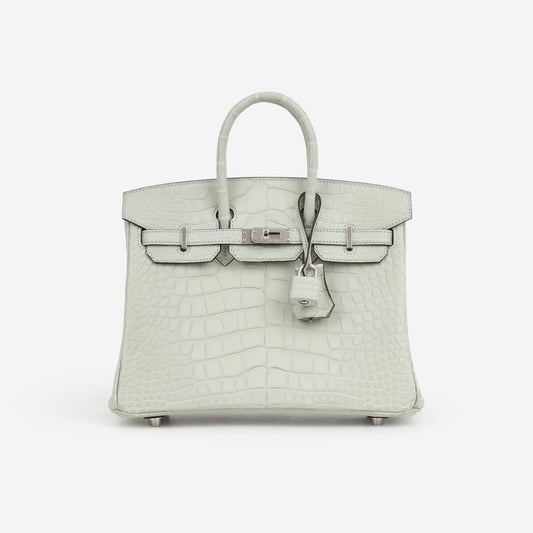 Hermès Birkin 25 - Gris Neve Matte Alligator | Palladium Hardware