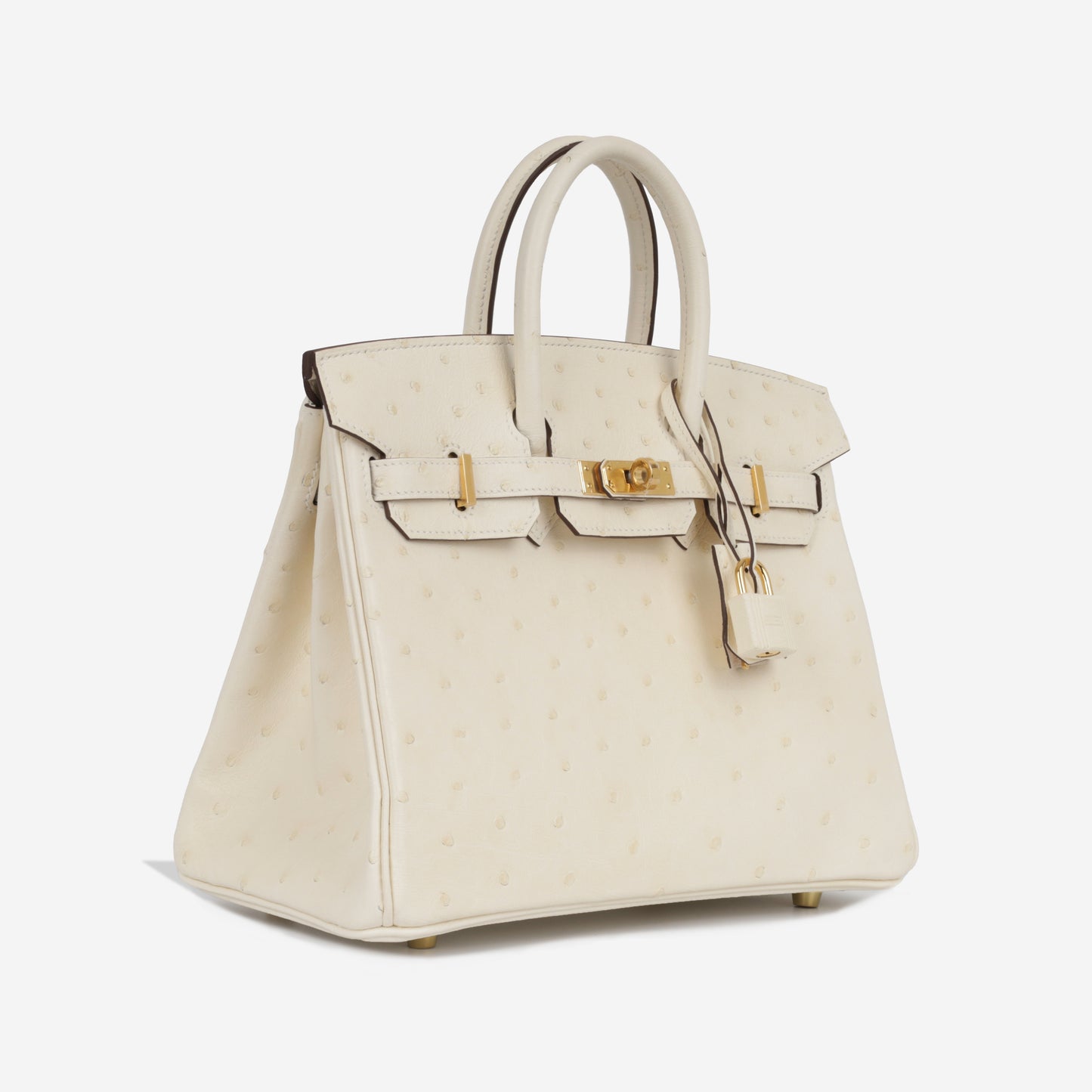 Birkin 25 - Nata Ostrich