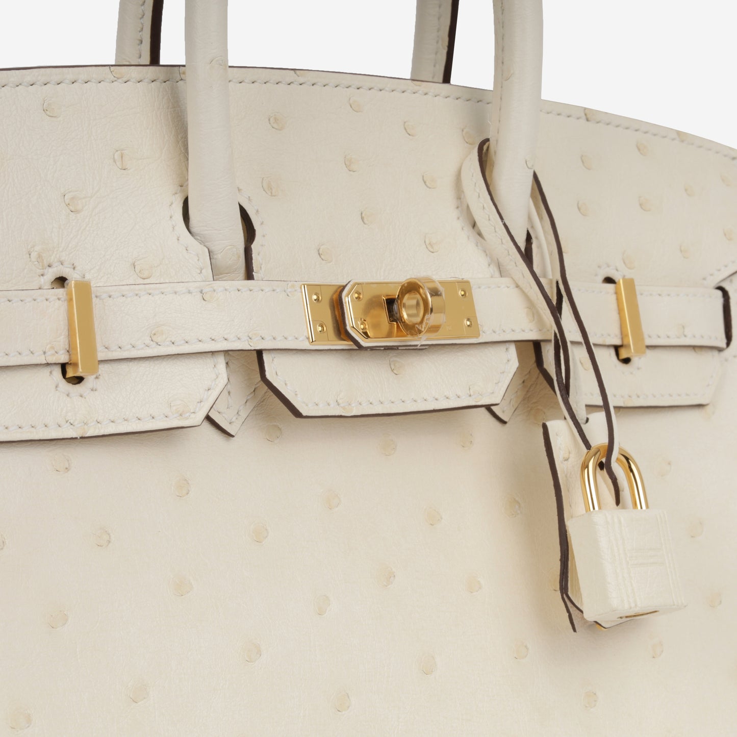 Birkin 25 - Nata Ostrich