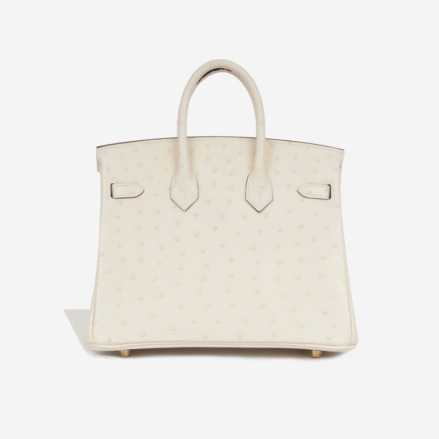 Birkin 25 - Nata Ostrich