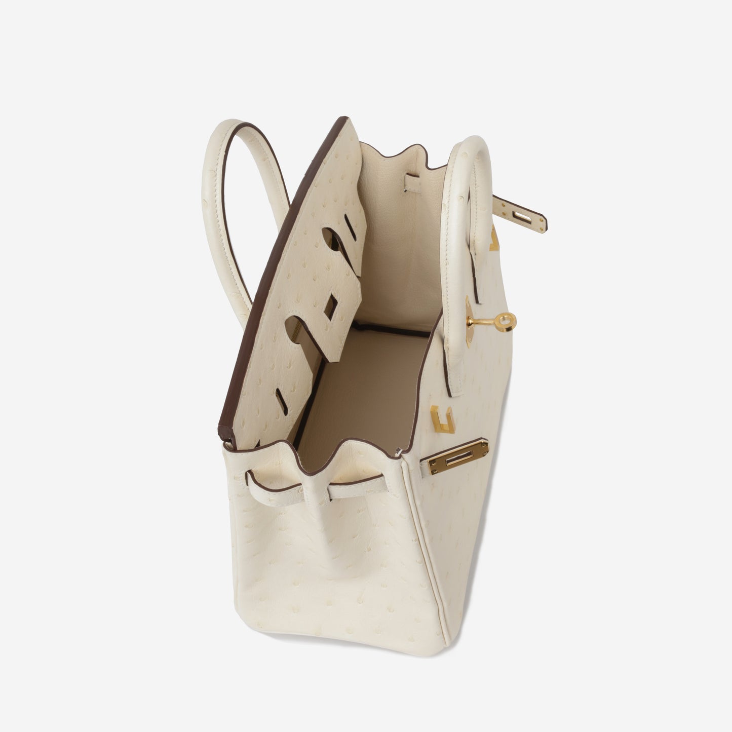 Birkin 25 - Nata Ostrich