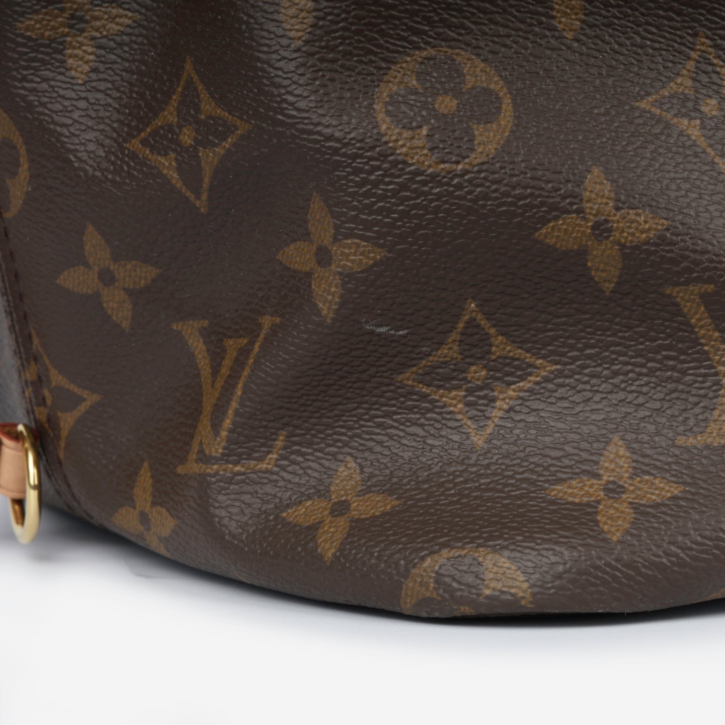 Neverfull GM - Monogram Canvas
