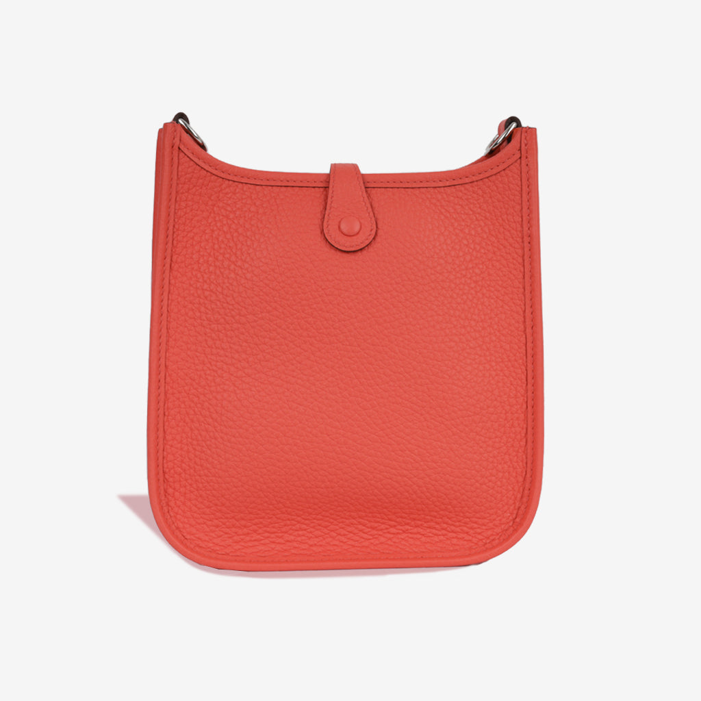 Mini Evelyne - Rose Texas