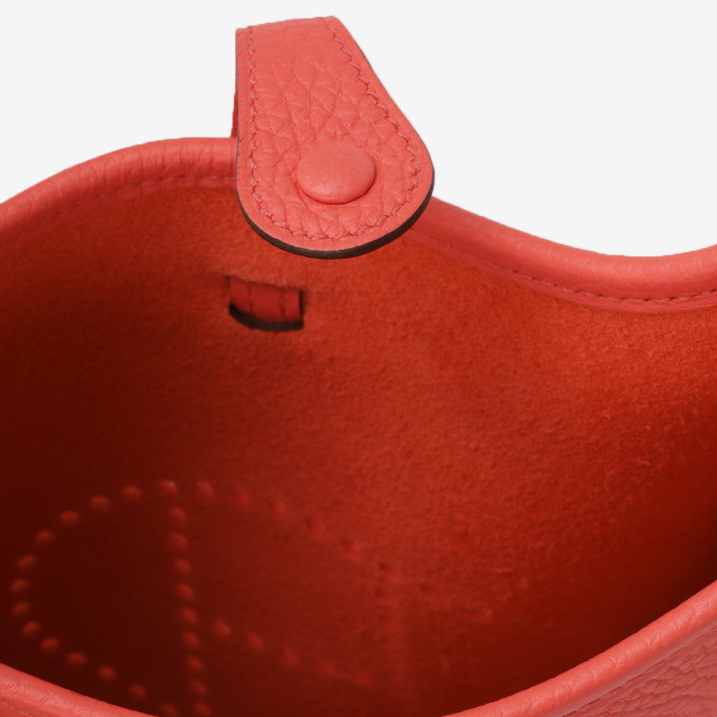 Mini Evelyne - Rose Texas