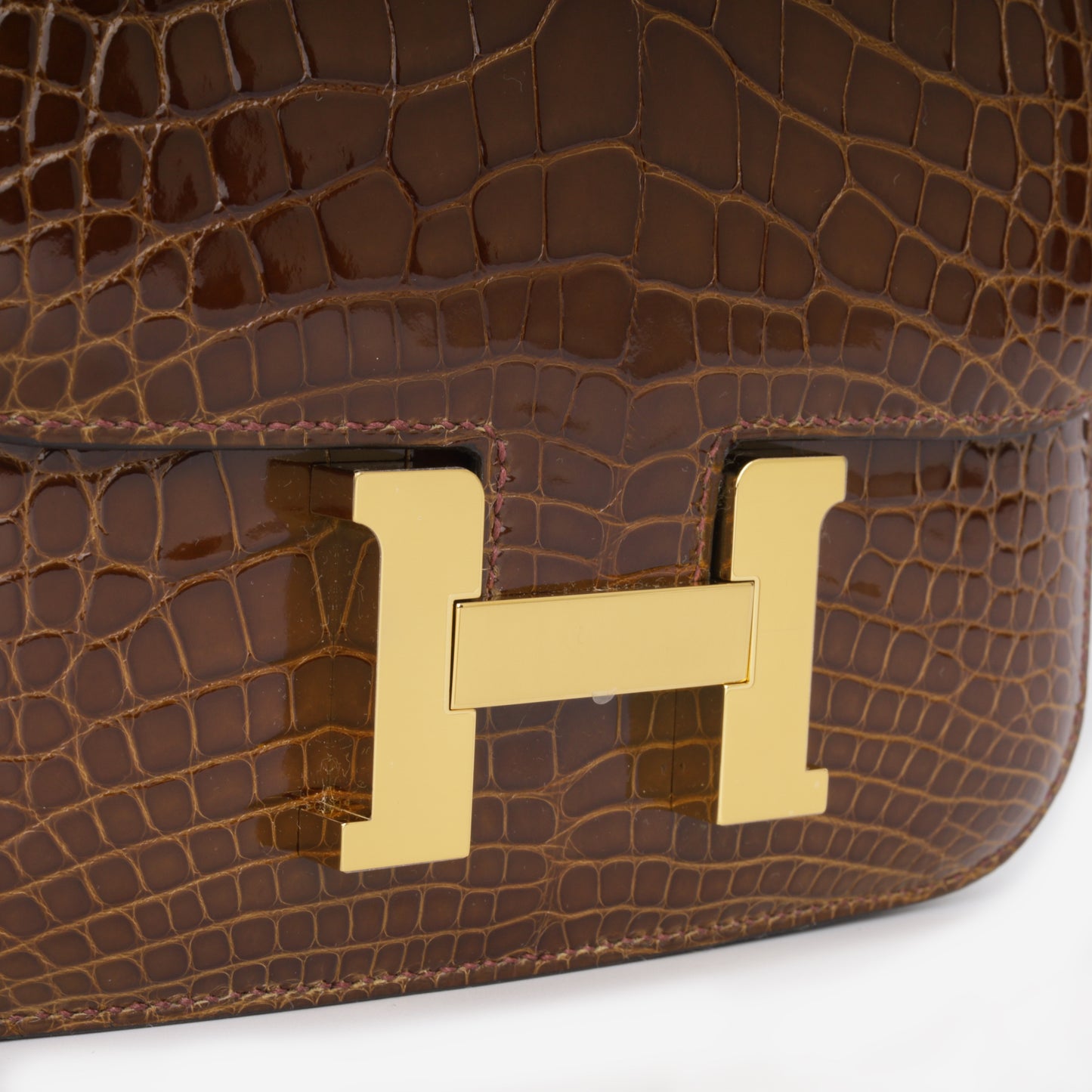 Constance 18 - Miel Alligator