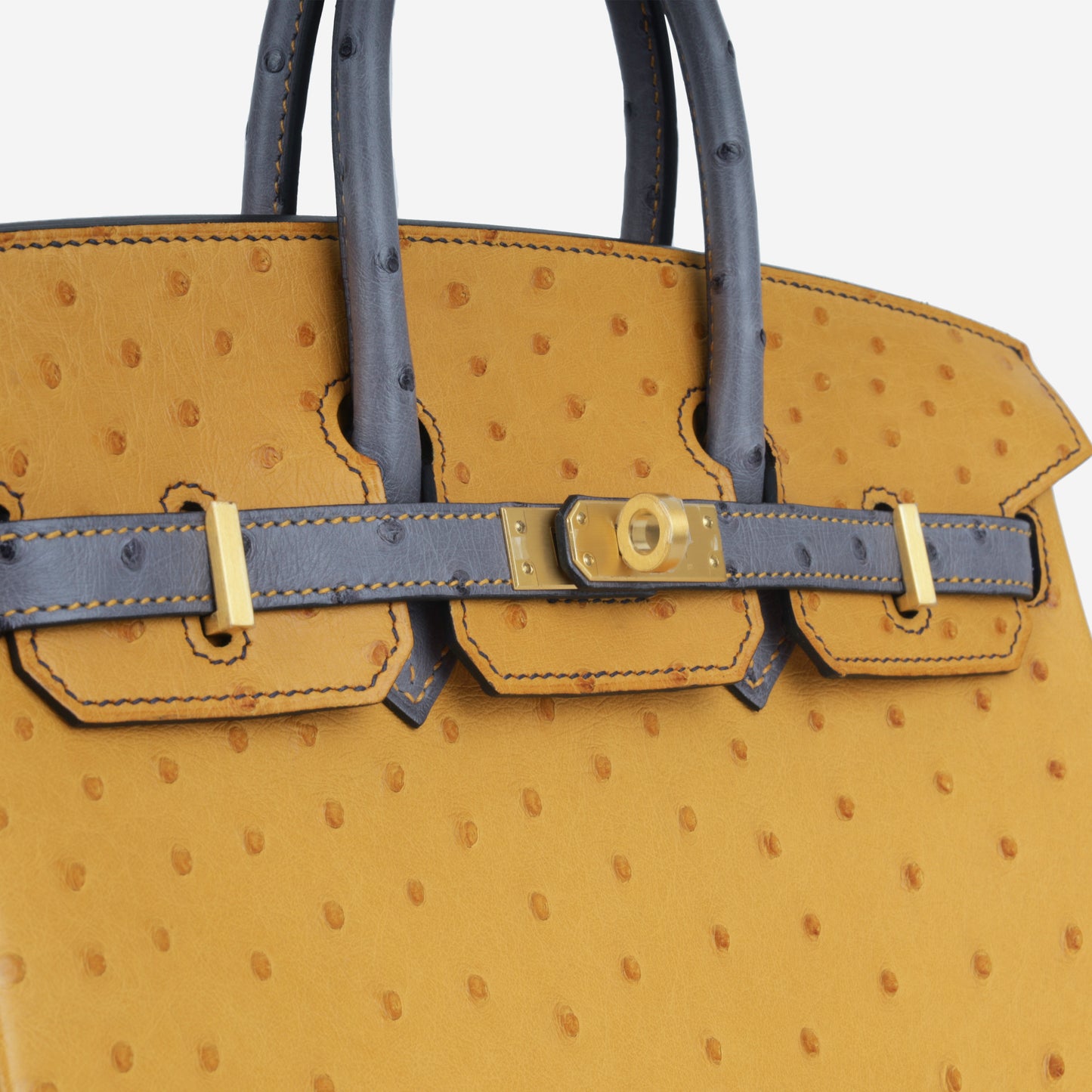 HSS Birkin 25 - Ostrich