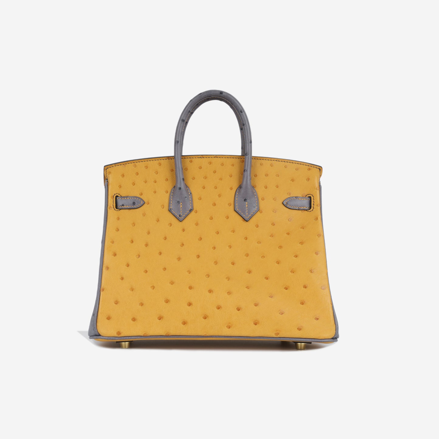 HSS Birkin 25 - Ostrich