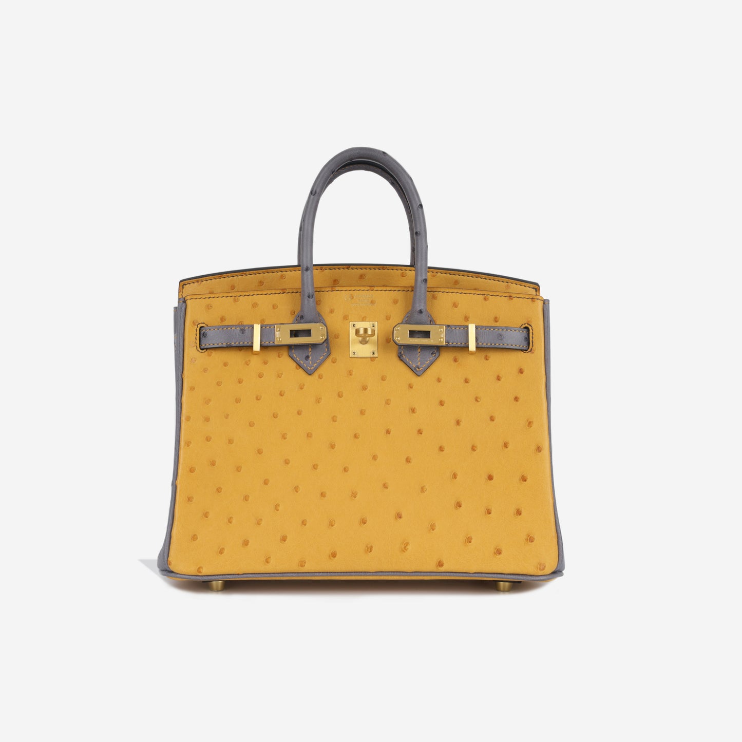 HSS Birkin 25 - Ostrich