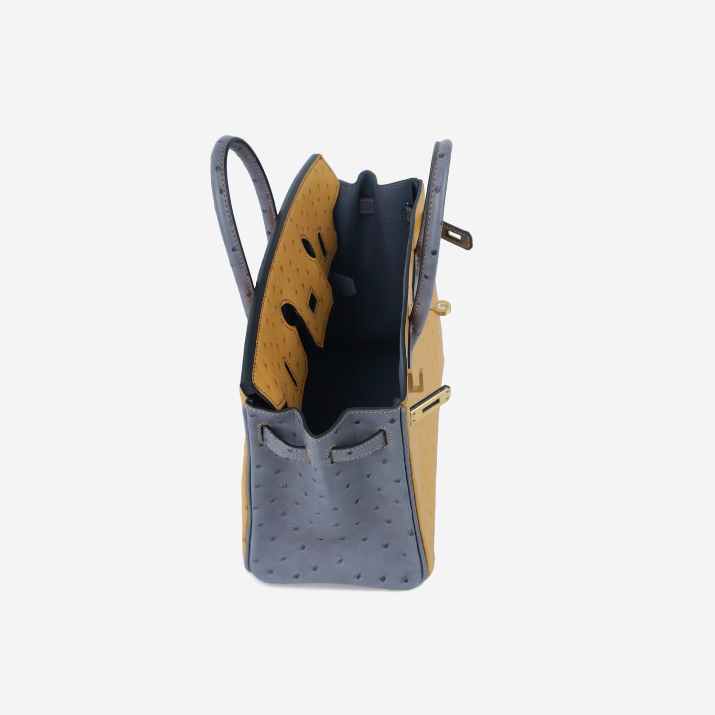 HSS Birkin 25 - Ostrich