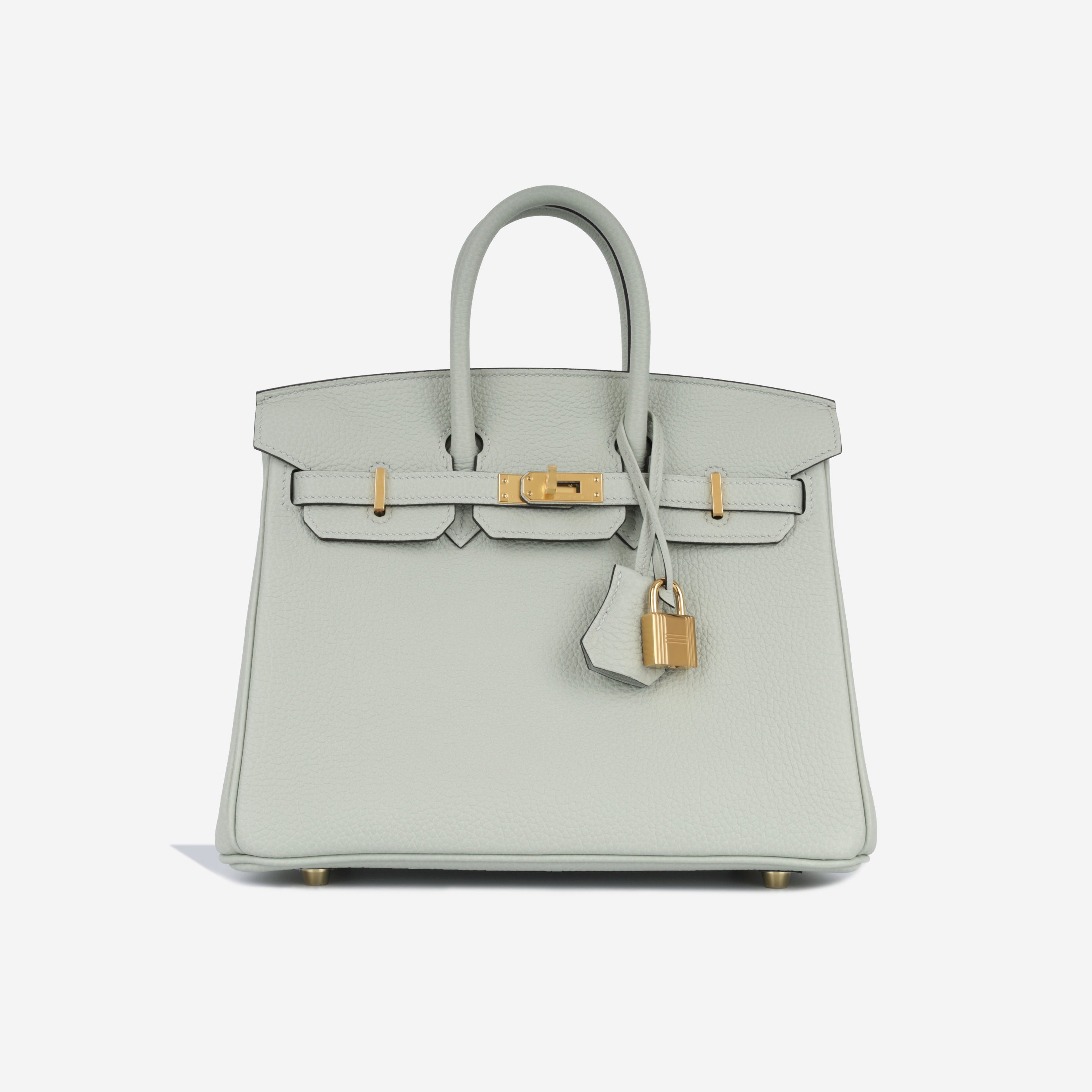 Hermes Birkin 25 Gris Neve Togo GHW 2023 Bagista