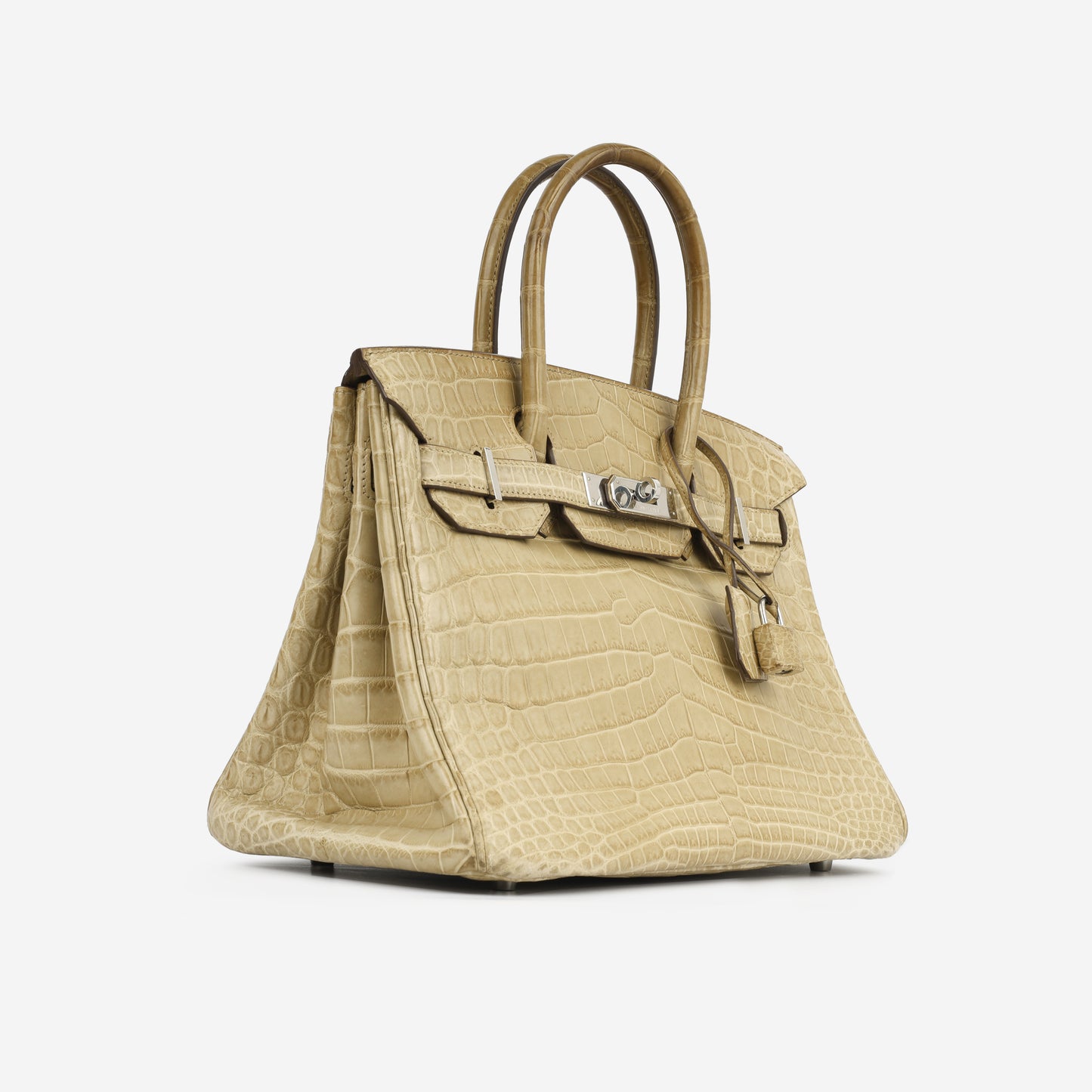 Birkin 30 - Poussiere Crocodile Niloticus