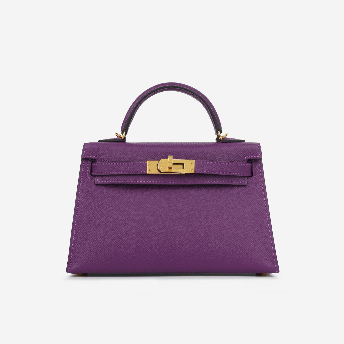 Mini Kelly - Anemone