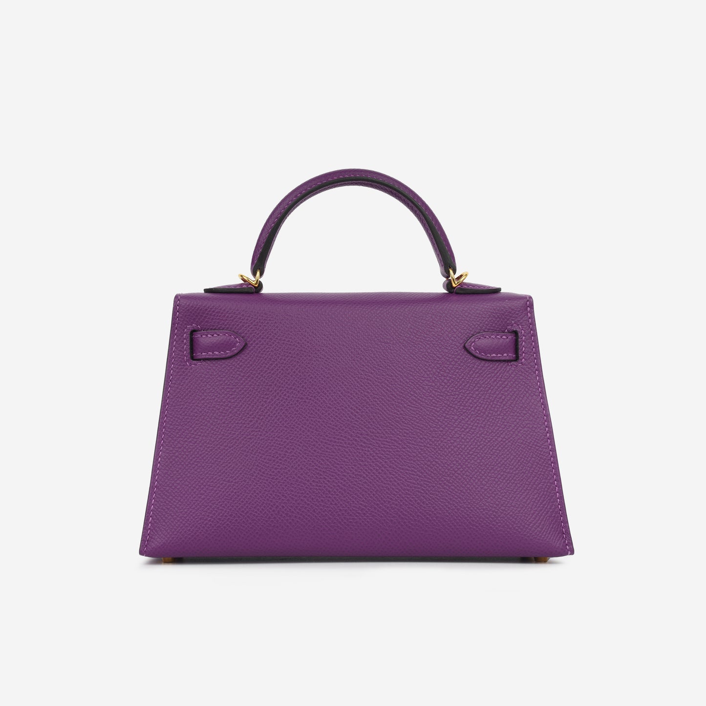 Mini Kelly - Anemone