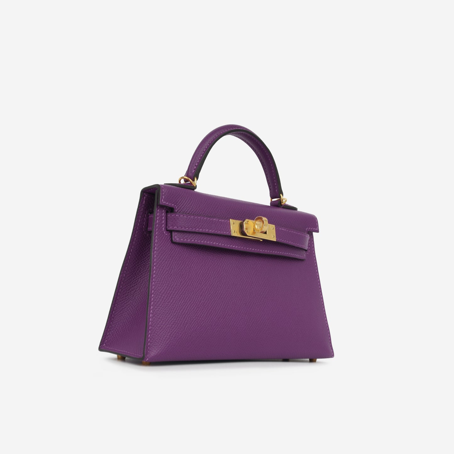 Mini Kelly - Anemone