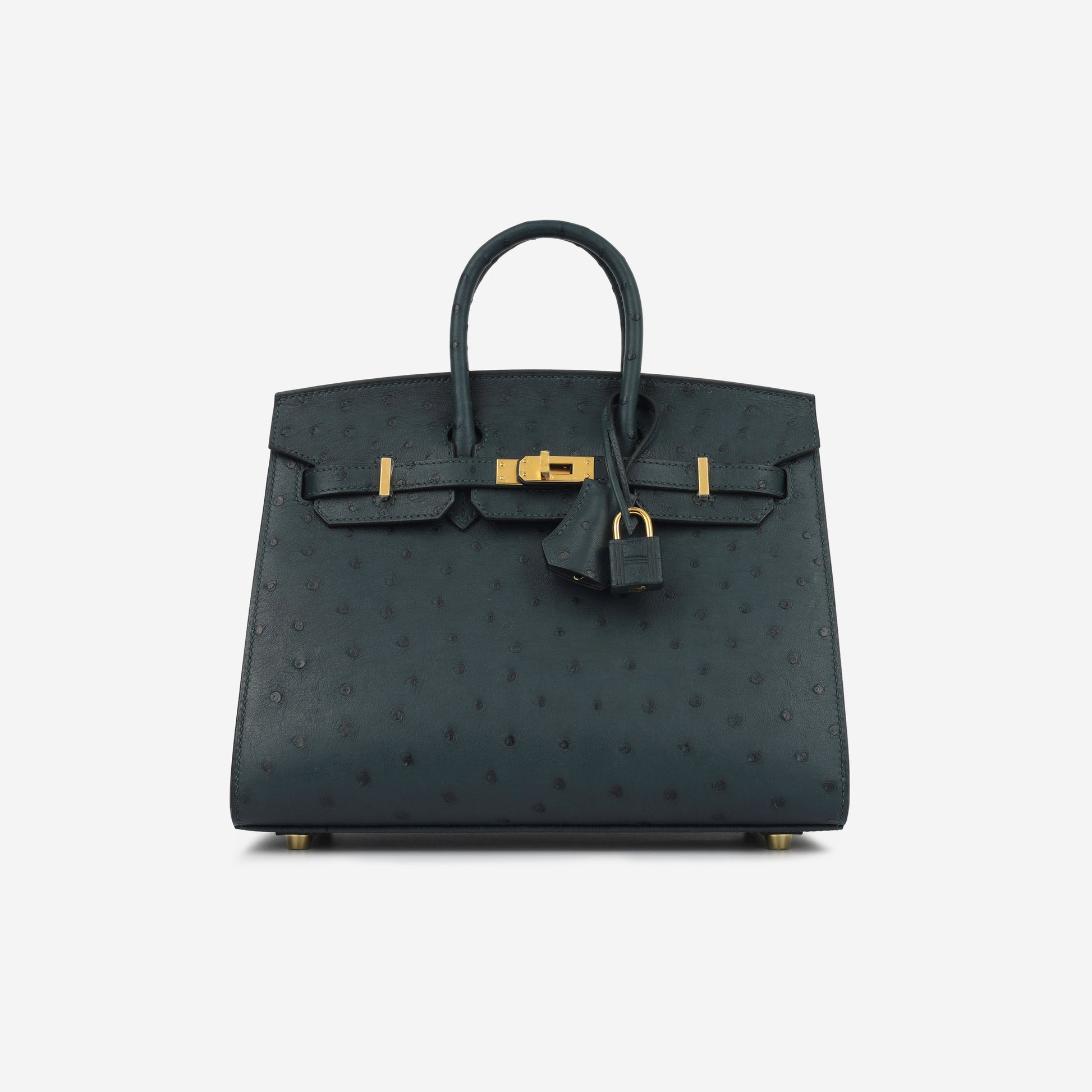 Hermès Birkin 25 Vert Cypres Ostrich Sellier GHW 2024