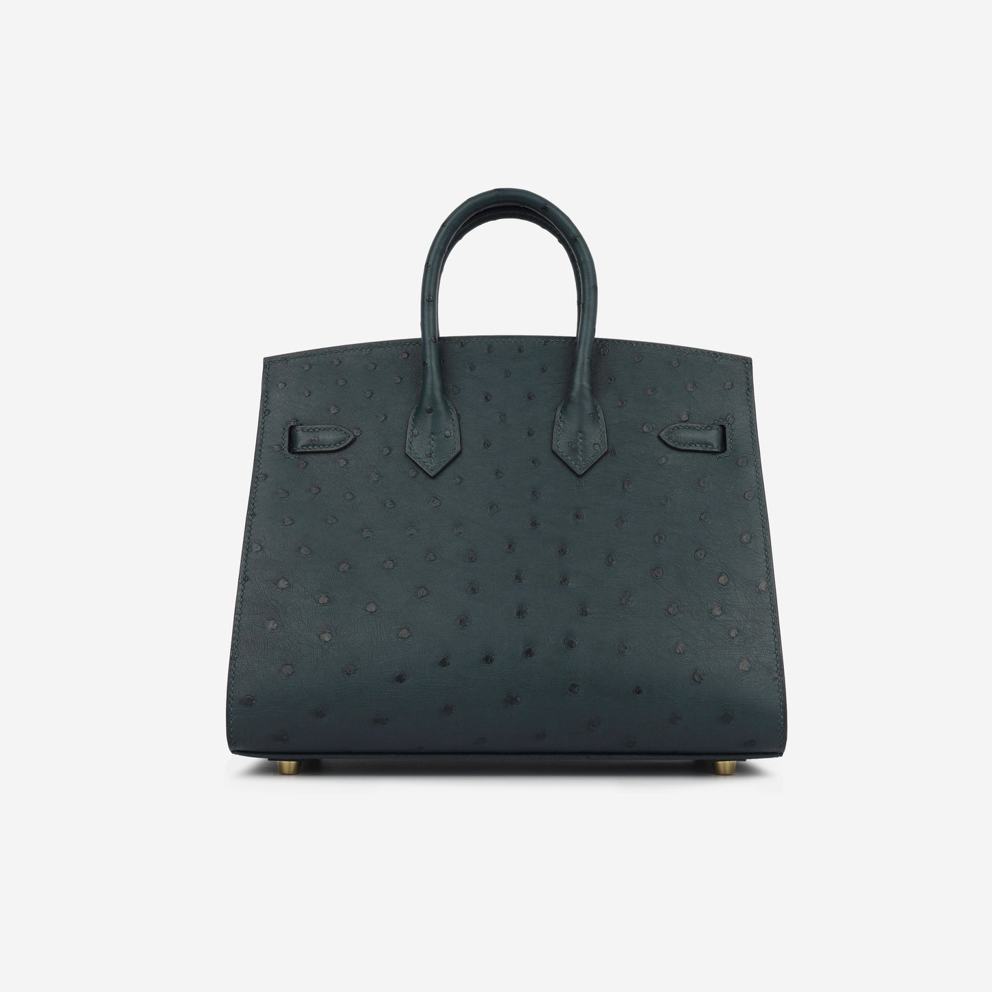 Birkin 25 - Vert Cypres Ostrich