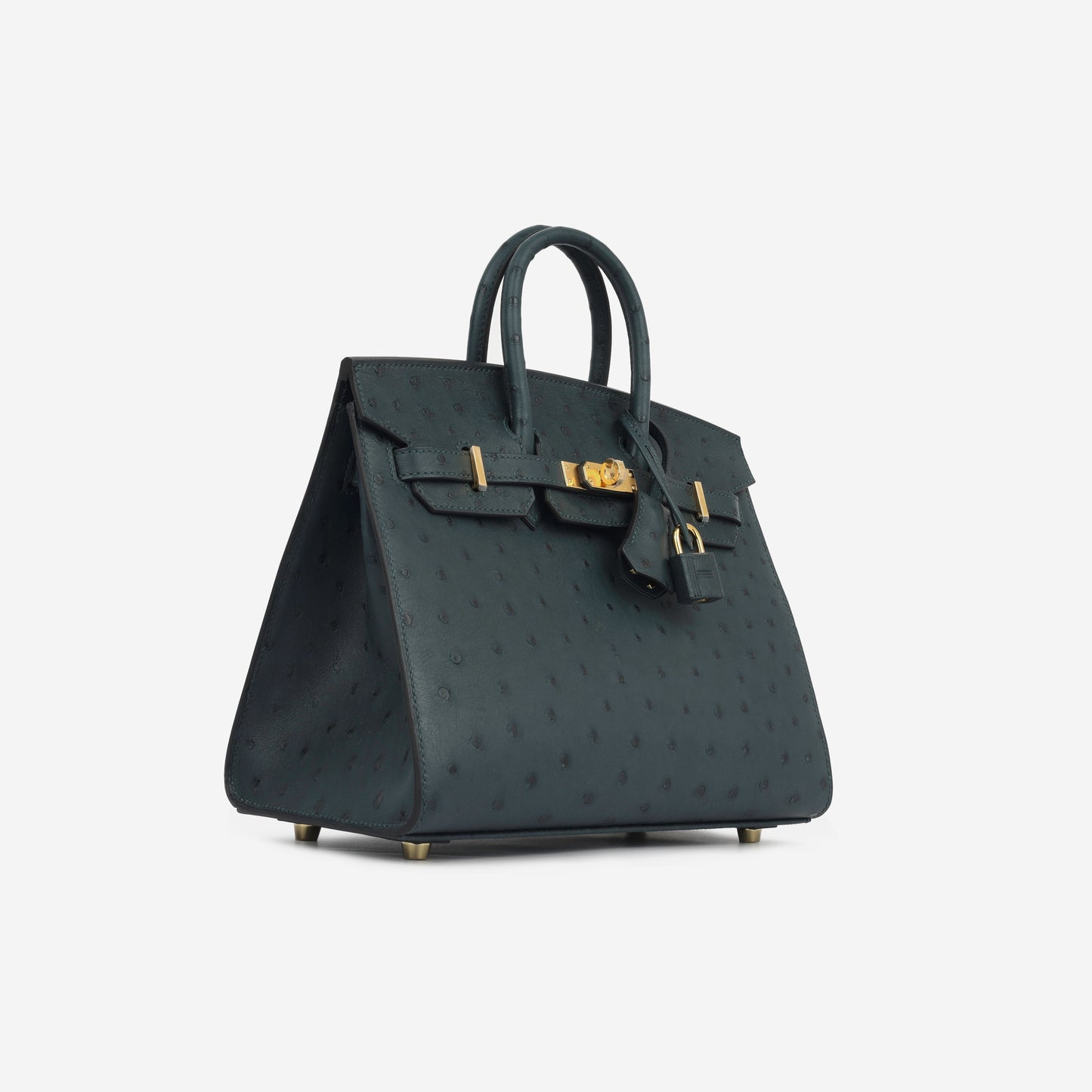 Birkin 25 - Vert Cypres Ostrich