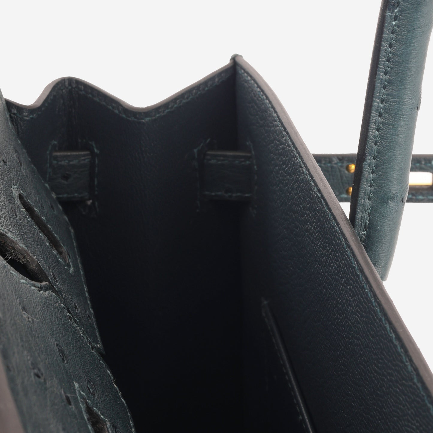 Birkin 25 - Vert Cypres Ostrich