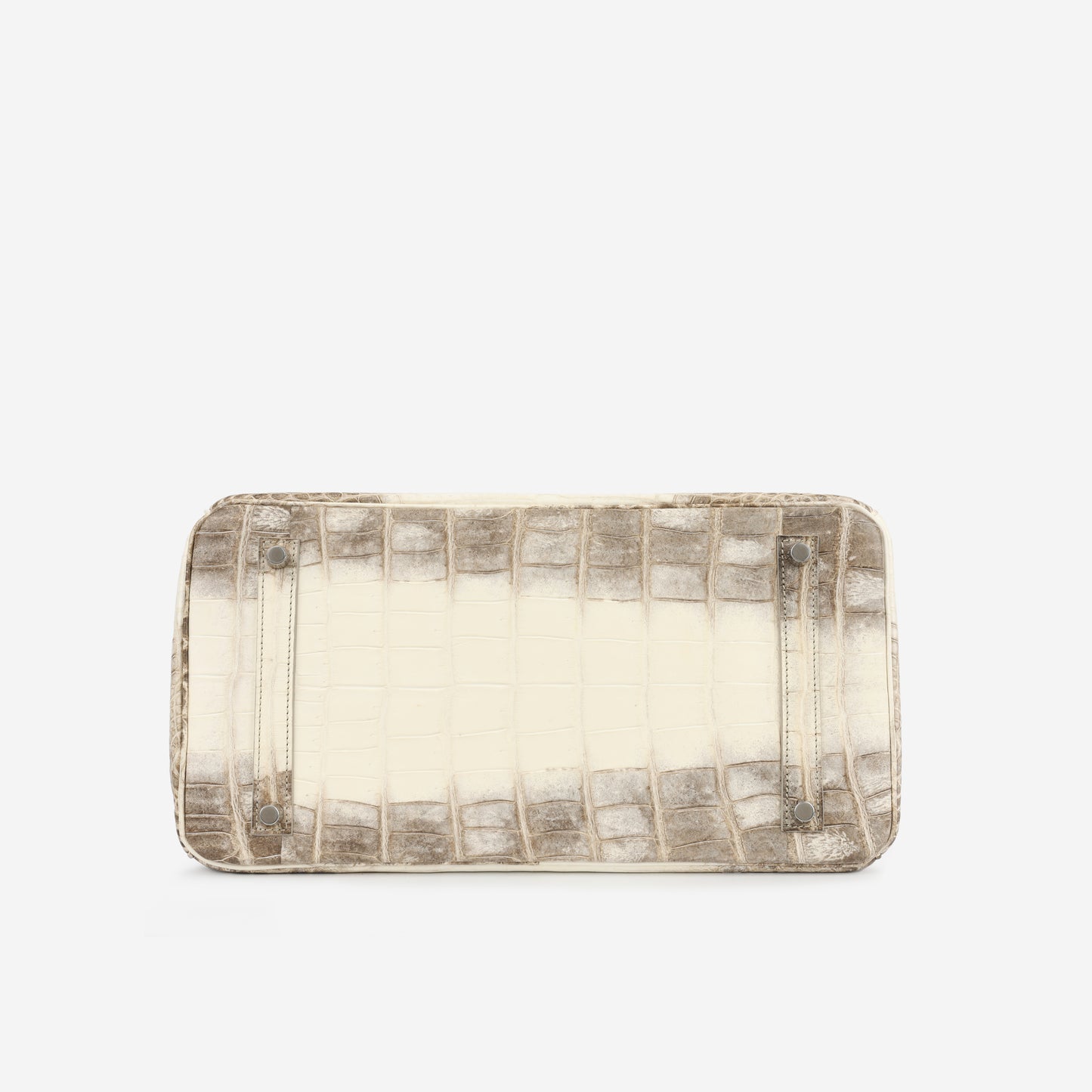 Birkin 35 - Himalaya Crocodile Niloticus