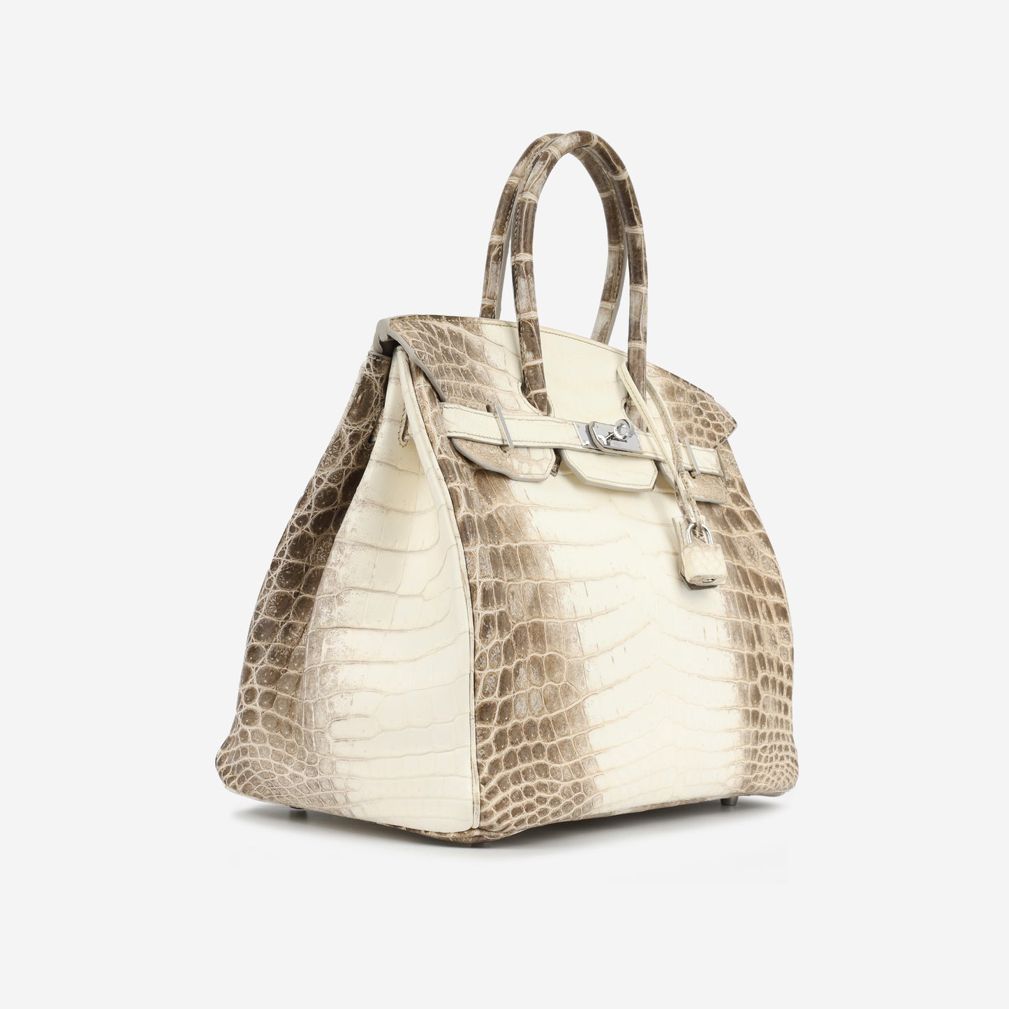 Birkin 35 - Himalaya Crocodile Niloticus