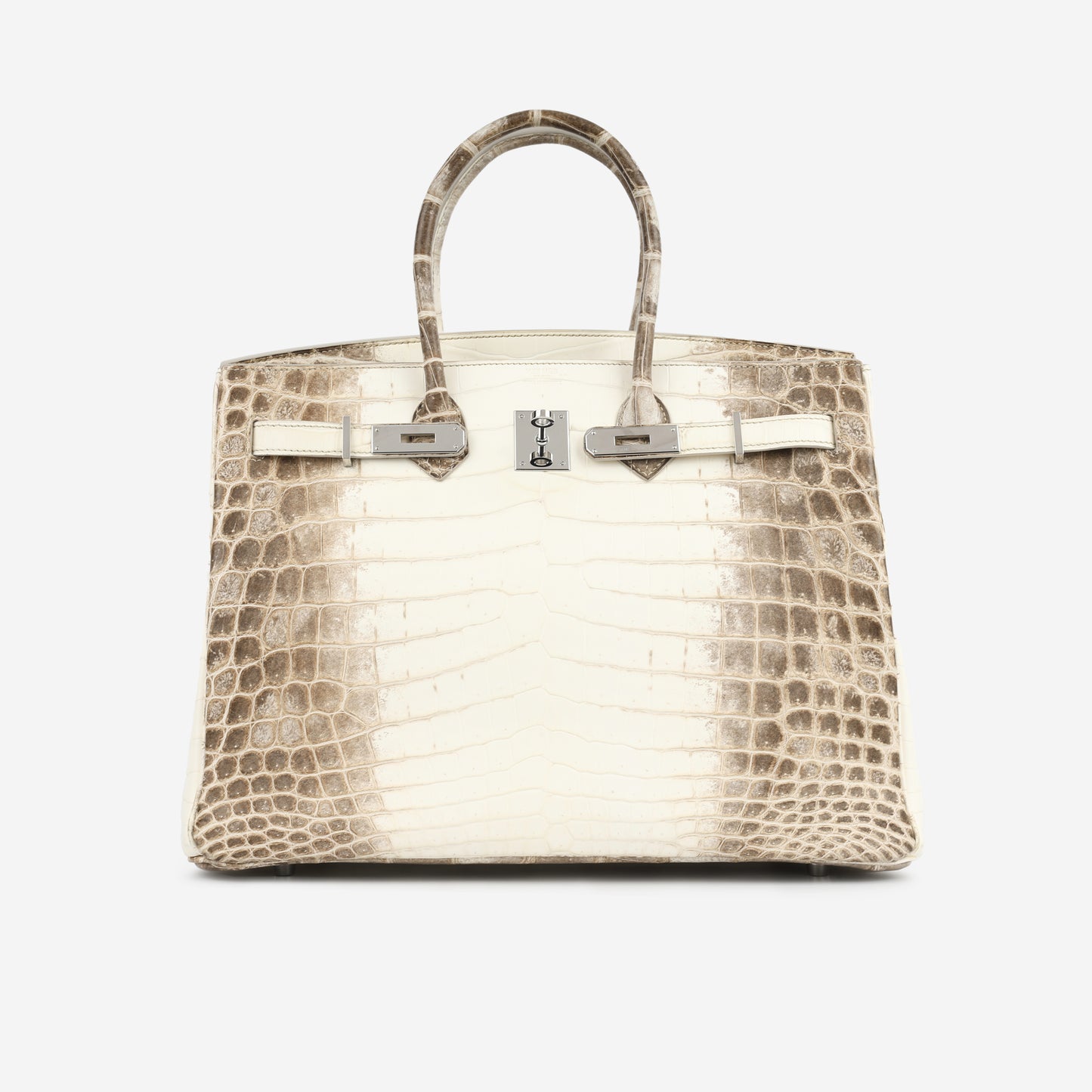 Birkin 35 - Himalaya Crocodile Niloticus