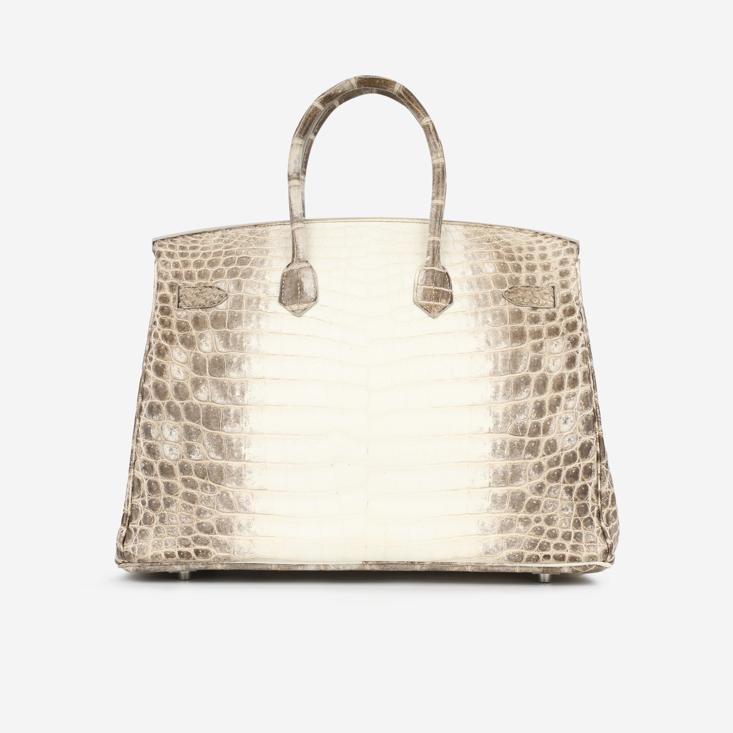 Birkin 35 - Himalaya Crocodile Niloticus