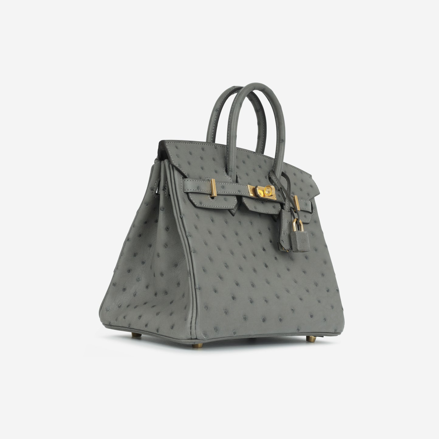 Birkin 25 - Gris Meyer