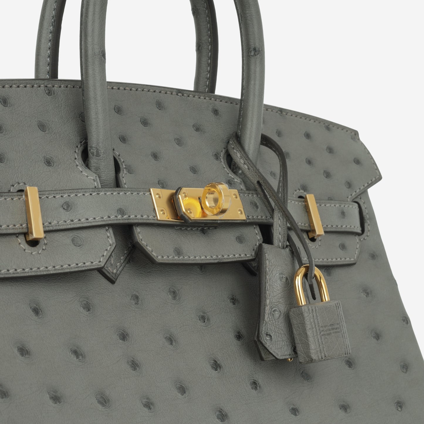 Birkin 25 - Gris Meyer