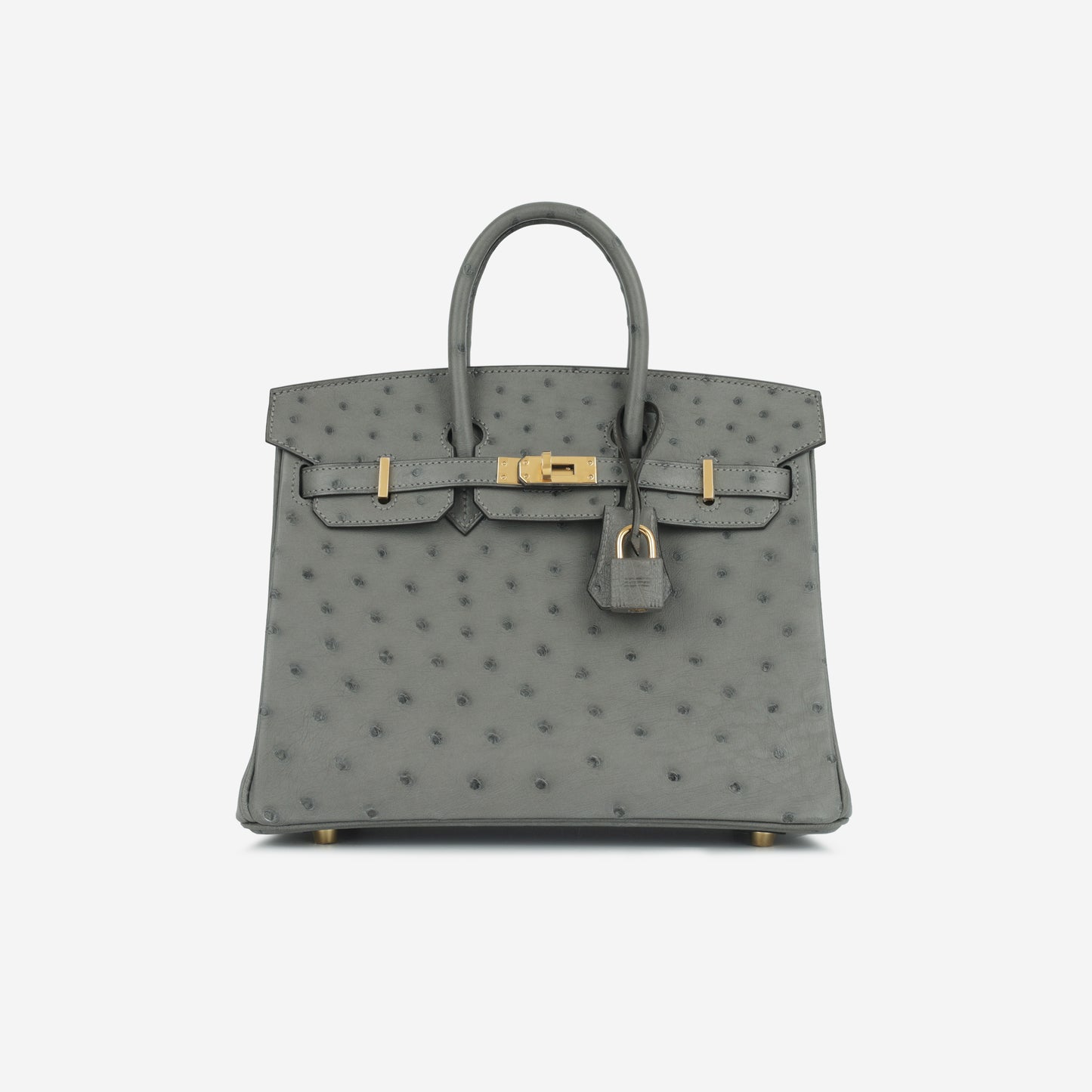 Birkin 25 - Gris Meyer