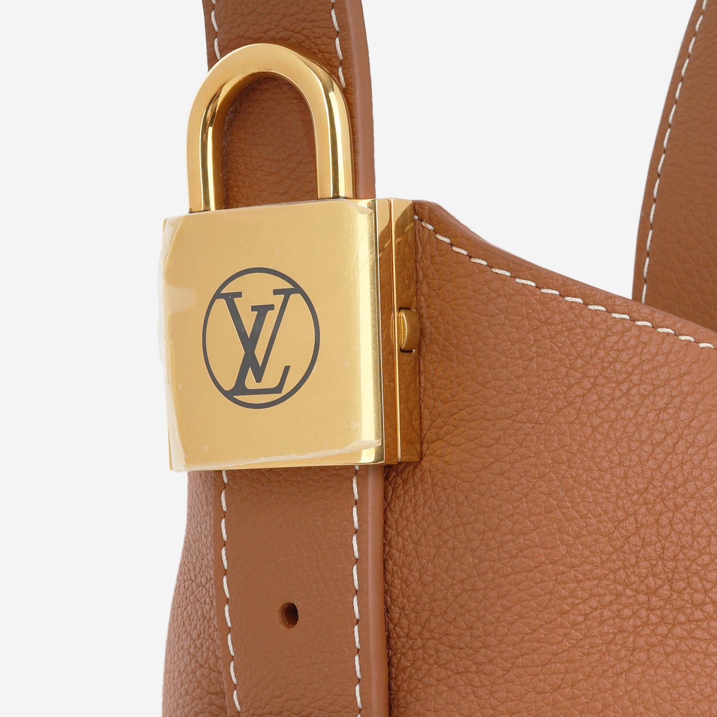 Louis Vuitton Low key PM Hobo Bag