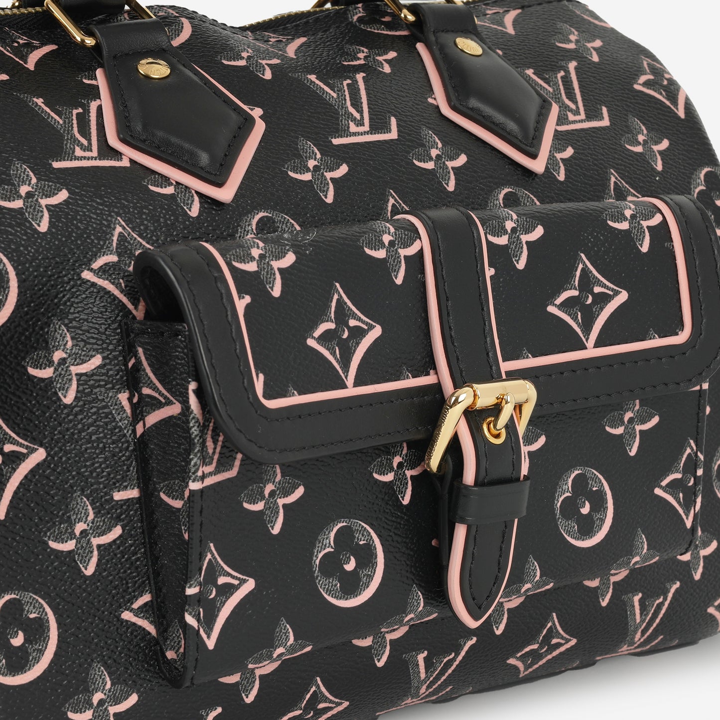 Louis Vuitton Speedy 25 Bandoulieré Fall For You