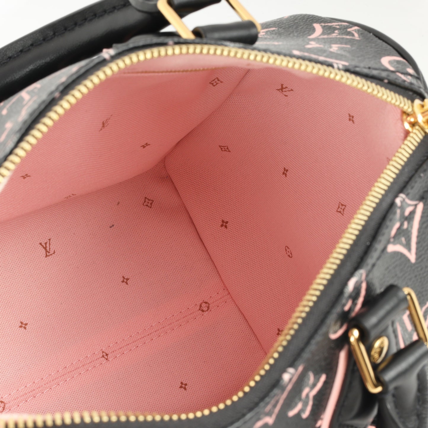 Louis Vuitton Speedy 25 Bandoulieré Fall For You