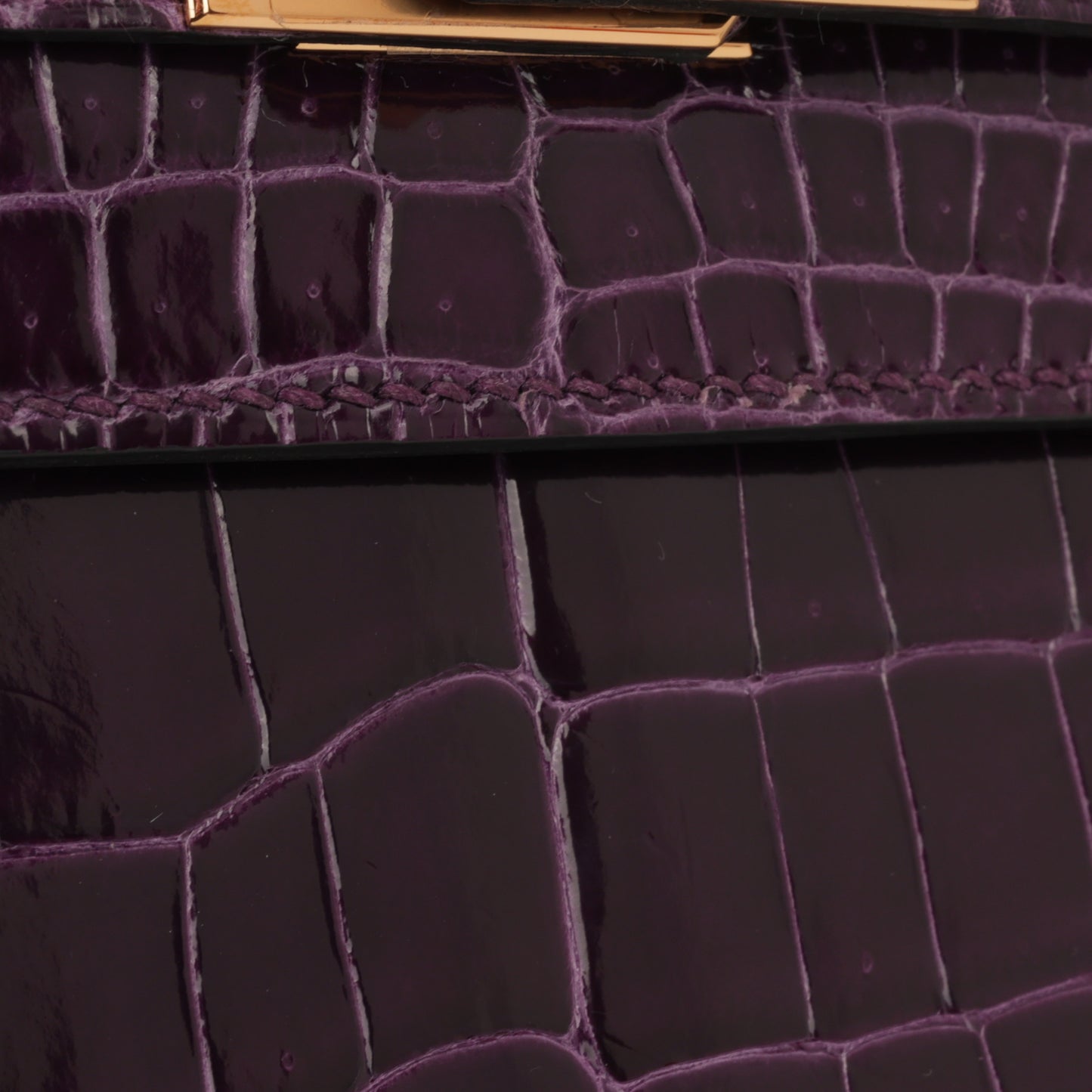 Hermès Kelly 25 - Cassis Crocodile Niloticus | Gold Hardware