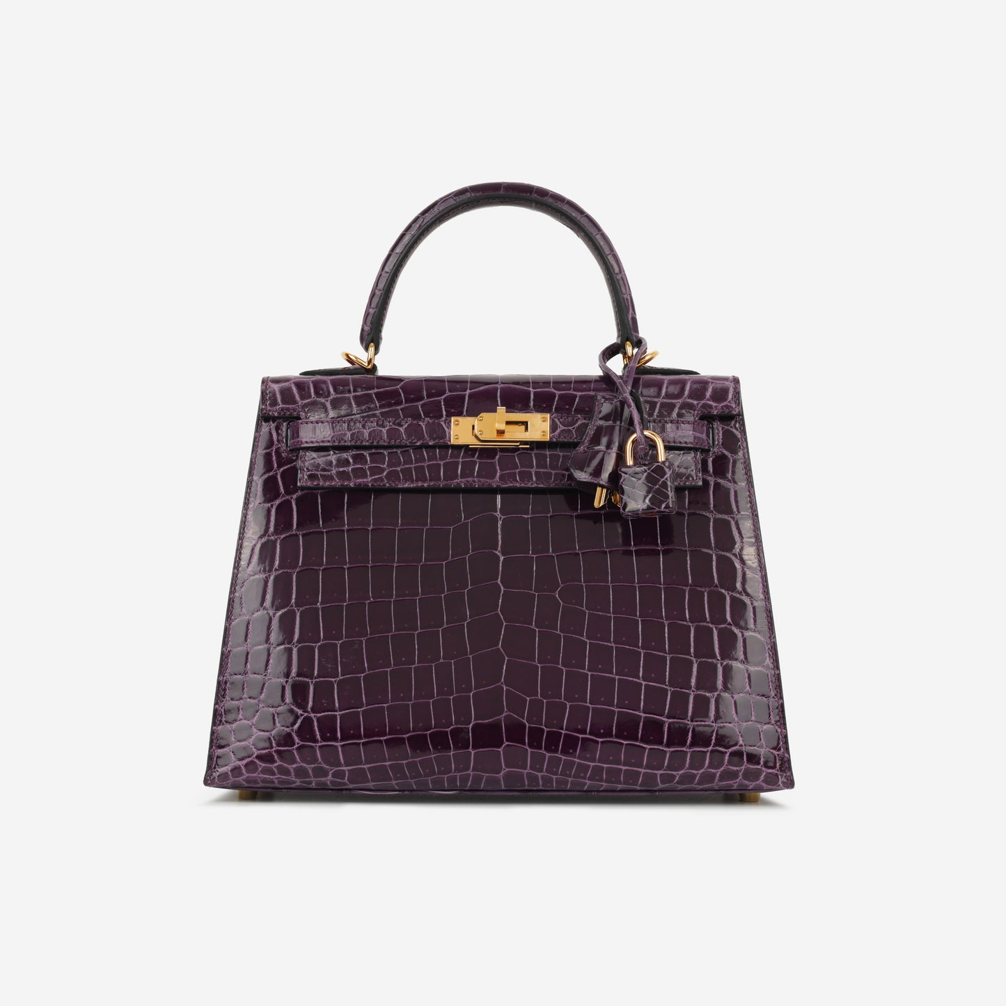 Hermès Kelly 25 - Cassis Crocodile Niloticus | Gold Hardware