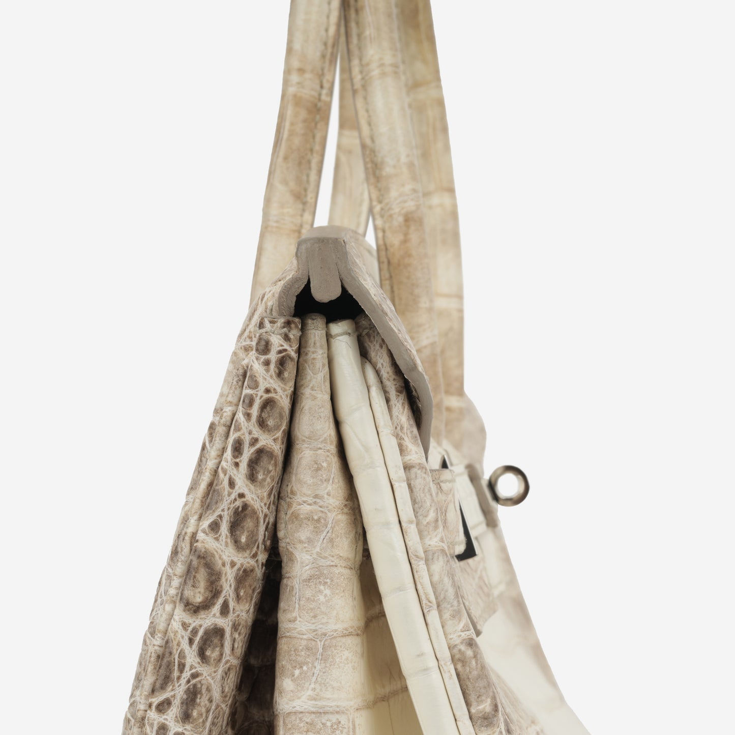 Birkin 35 - Himalayan Crocodile Niloticus