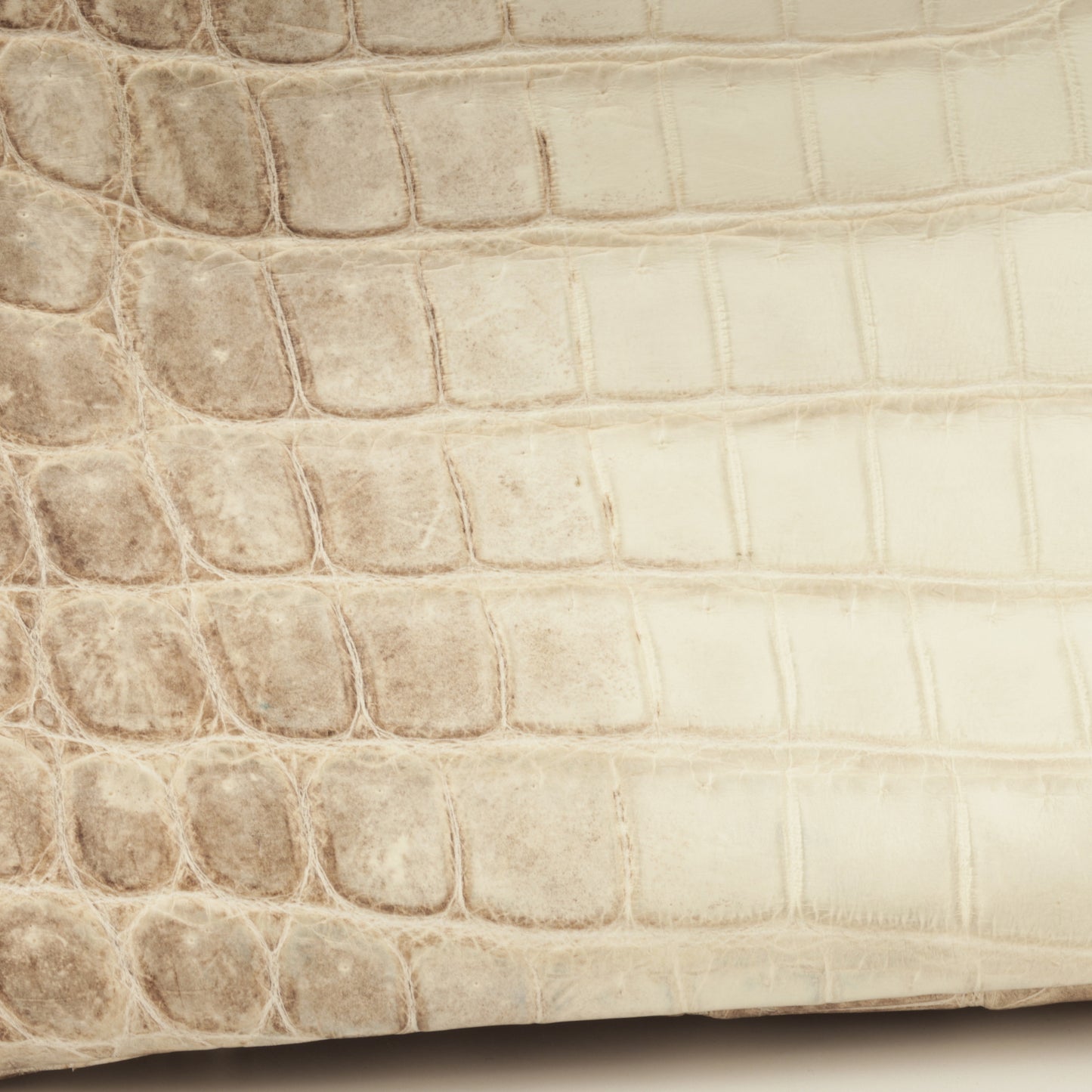 Birkin 35 - Himalayan Crocodile Niloticus