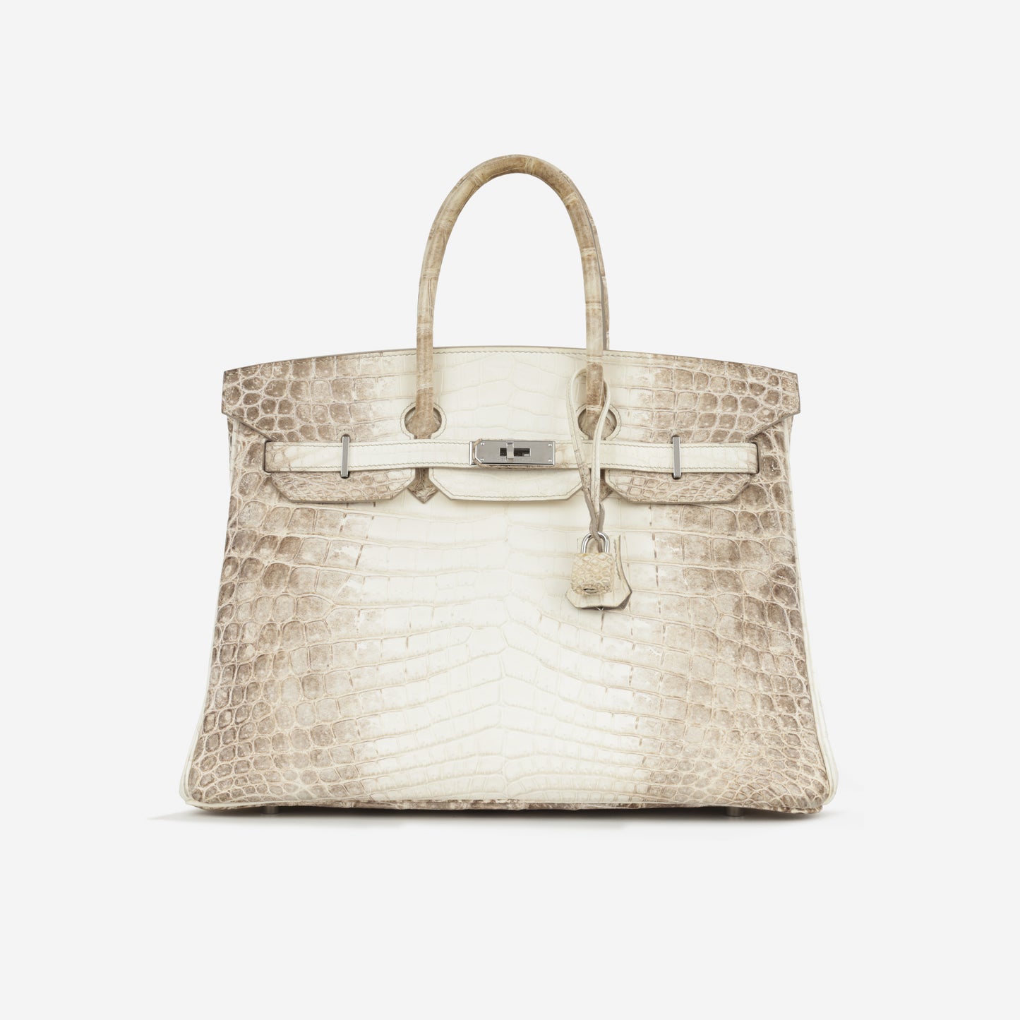 Birkin 35 - Himalayan Crocodile Niloticus