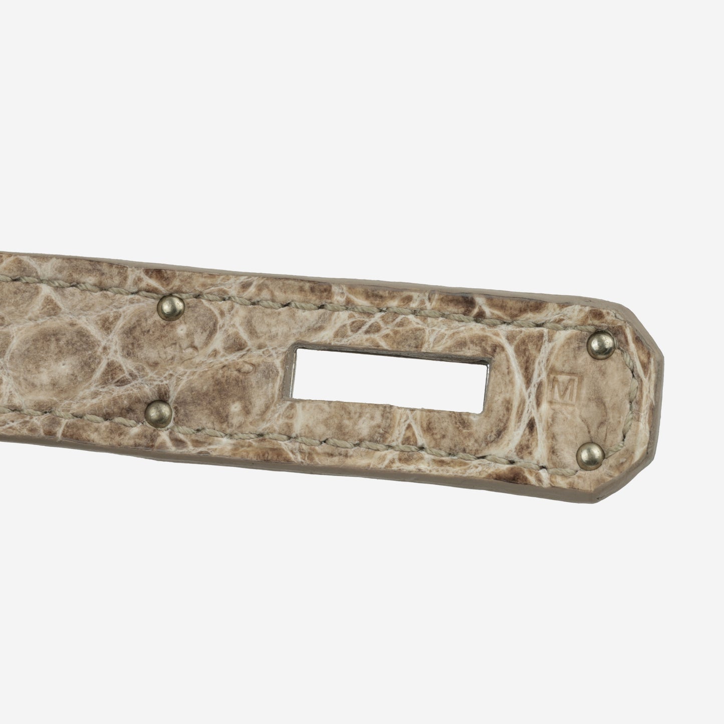 Birkin 35 - Himalayan Crocodile Niloticus