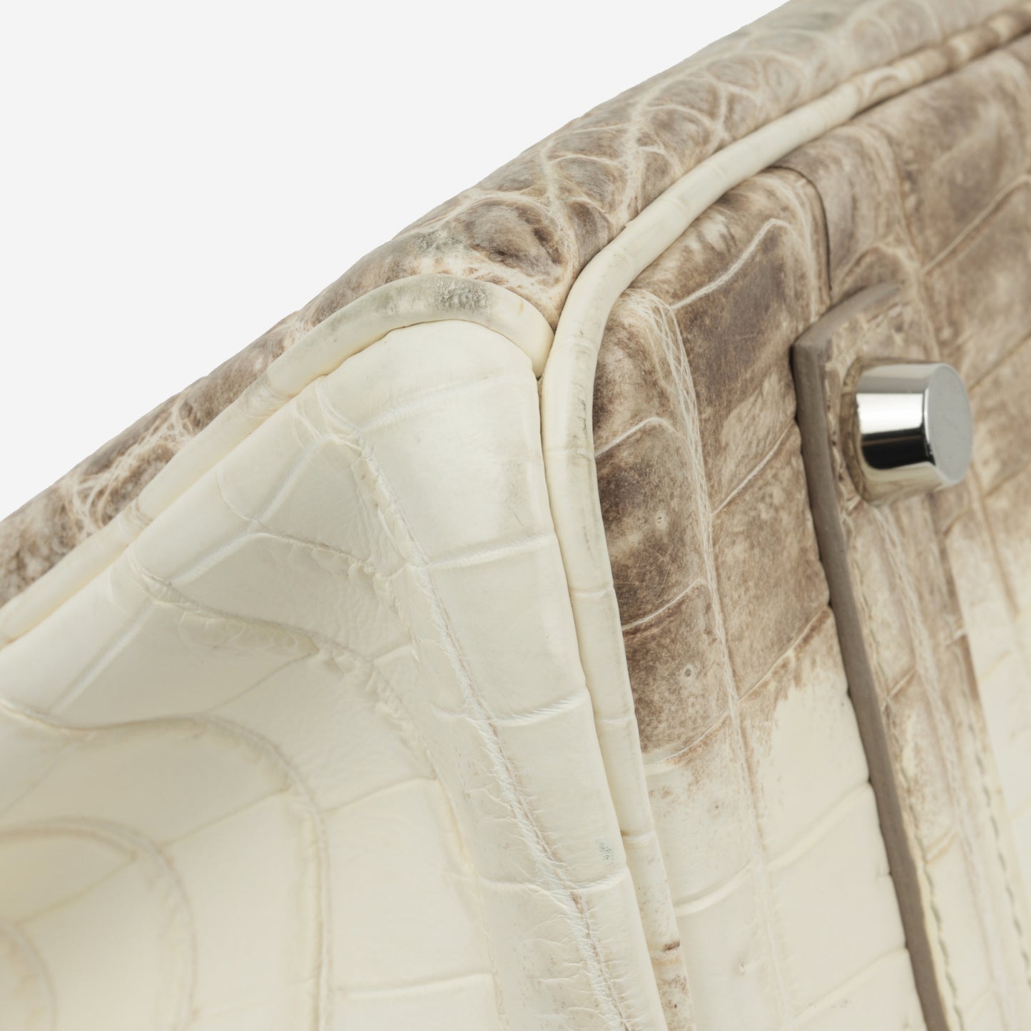 Birkin 35 - Himalayan Crocodile Niloticus