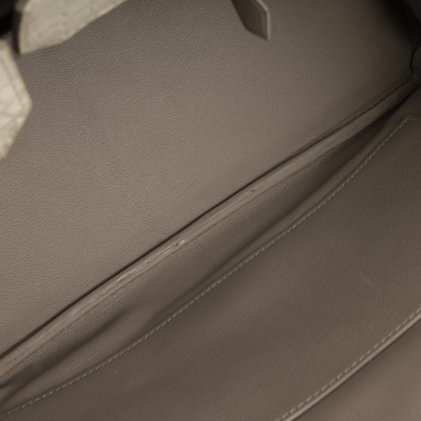 Birkin 35 - Himalayan Crocodile Niloticus