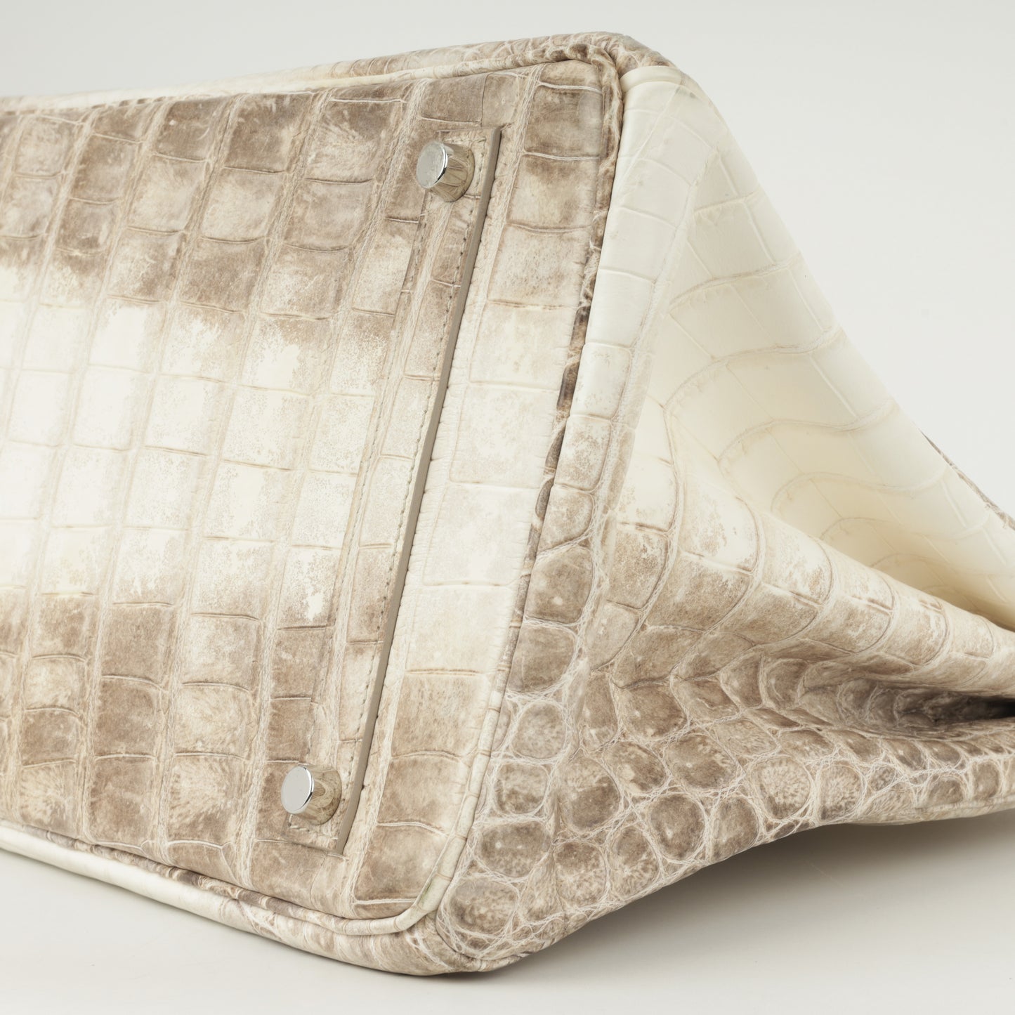 Birkin 35 - Himalayan Crocodile Niloticus