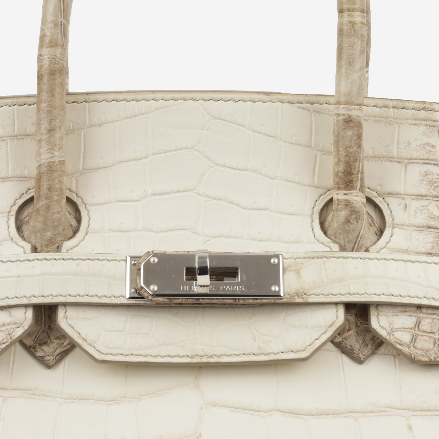 Birkin 35 - Himalayan Crocodile Niloticus