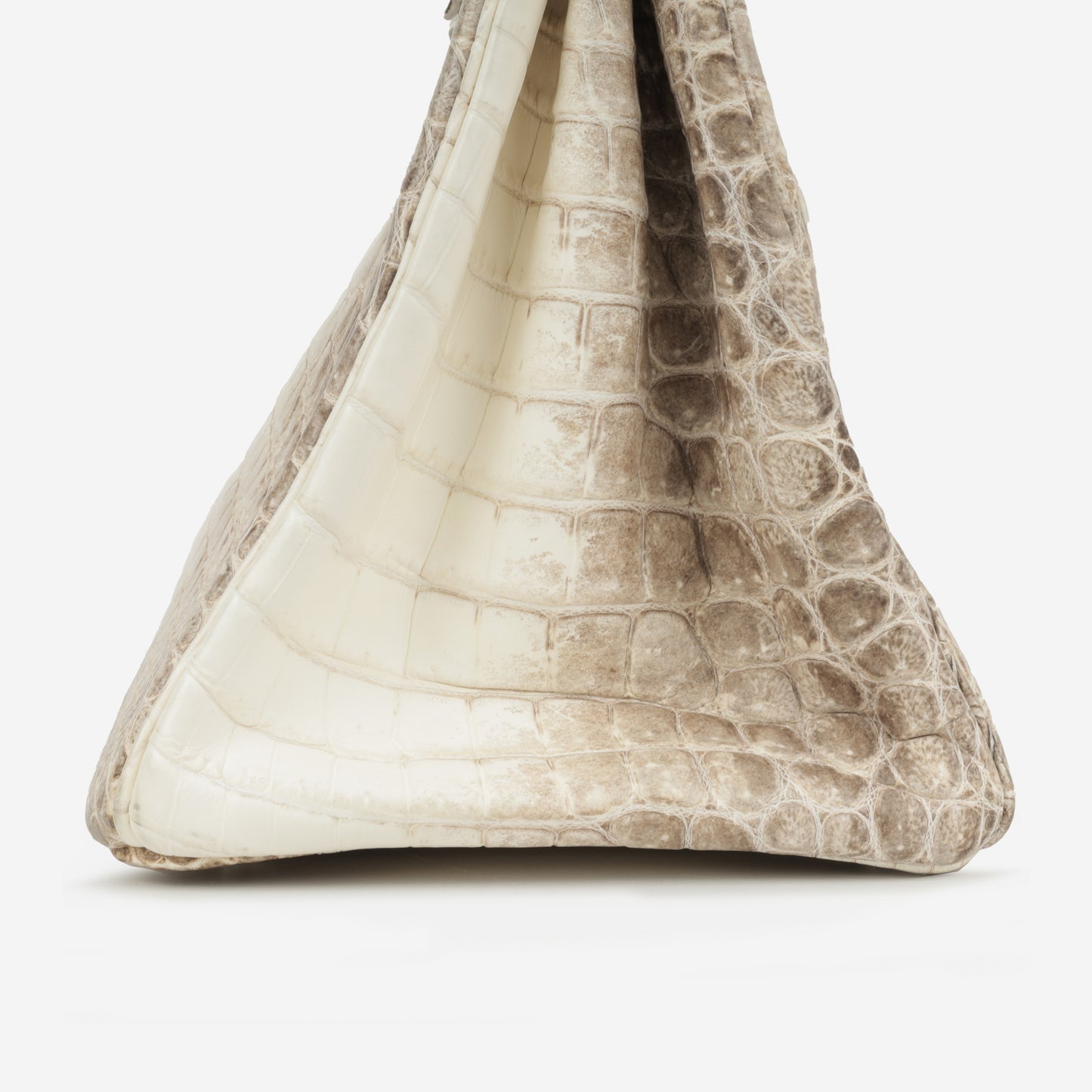 Birkin 35 - Himalayan Crocodile Niloticus