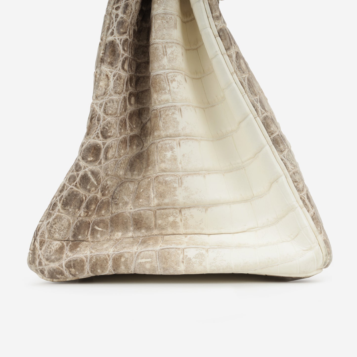 Birkin 35 - Himalayan Crocodile Niloticus