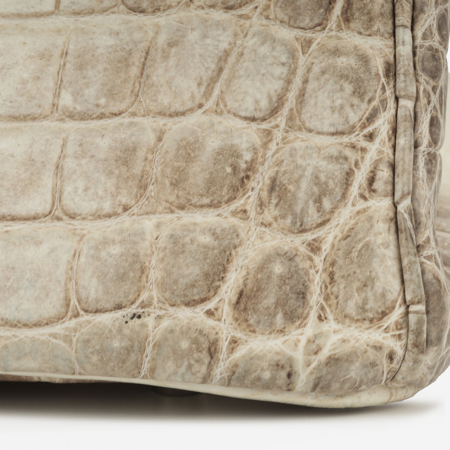 Birkin 35 - Himalayan Crocodile Niloticus