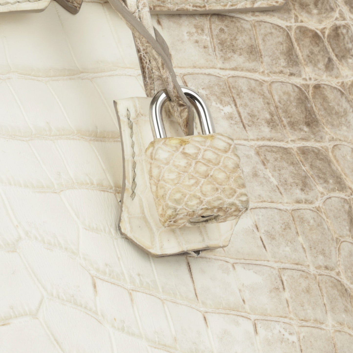 Birkin 35 - Himalayan Crocodile Niloticus