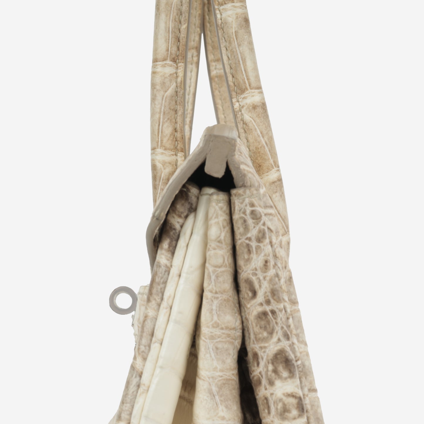 Birkin 35 - Himalayan Crocodile Niloticus