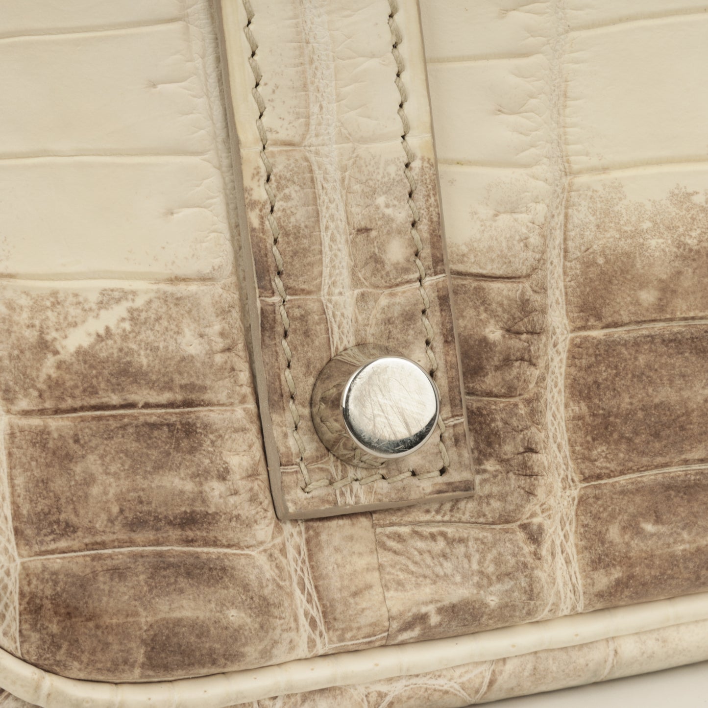 Birkin 35 - Himalayan Crocodile Niloticus